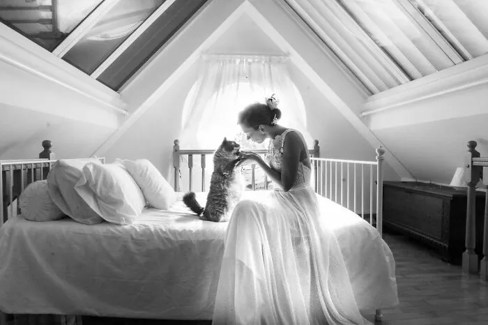 Bored Panda Community Shared 40 Must-See Wedding Shots That Tell A Story
