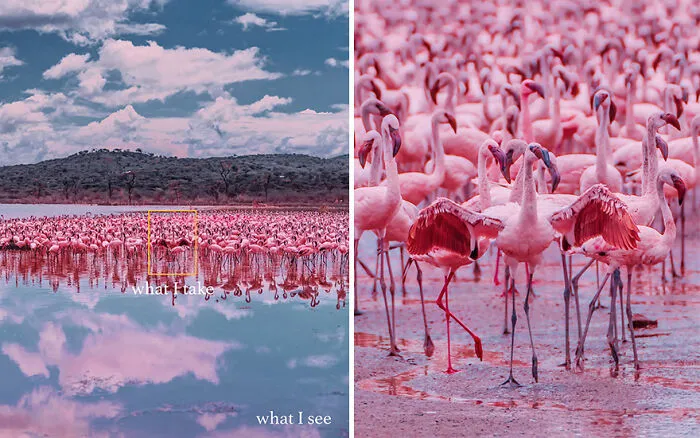 “What I See Vs. What I Take”: 16 Photos Revealing How This Photographer Captures The Perfect Shot