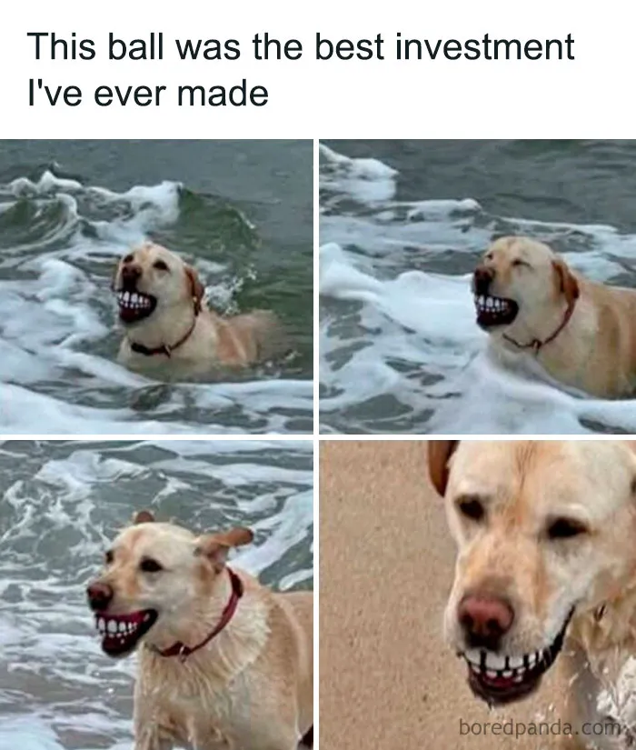 3.6M People Follow This FB Page For Its Funny Memes And These 50 Are Hilariously Weird (New Pics)