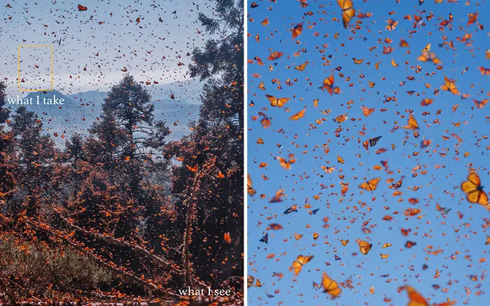 “What I See Vs. What I Take”: 16 Photos Revealing How This Photographer Captures The Perfect Shot