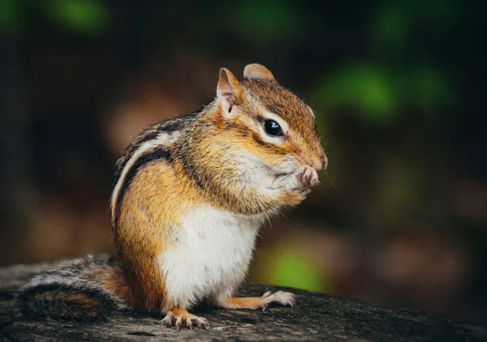 40 People Who Witnessed The Impossible, No One Believed Them, And They’ve Never Forgotten It
