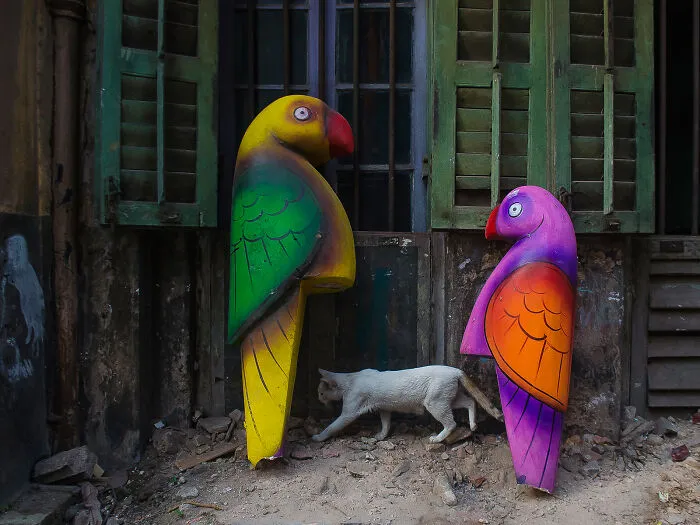“Chasing Colors”: My Attempt To Capture The Vibrant Spirit Of Street Photography (20 Pics)