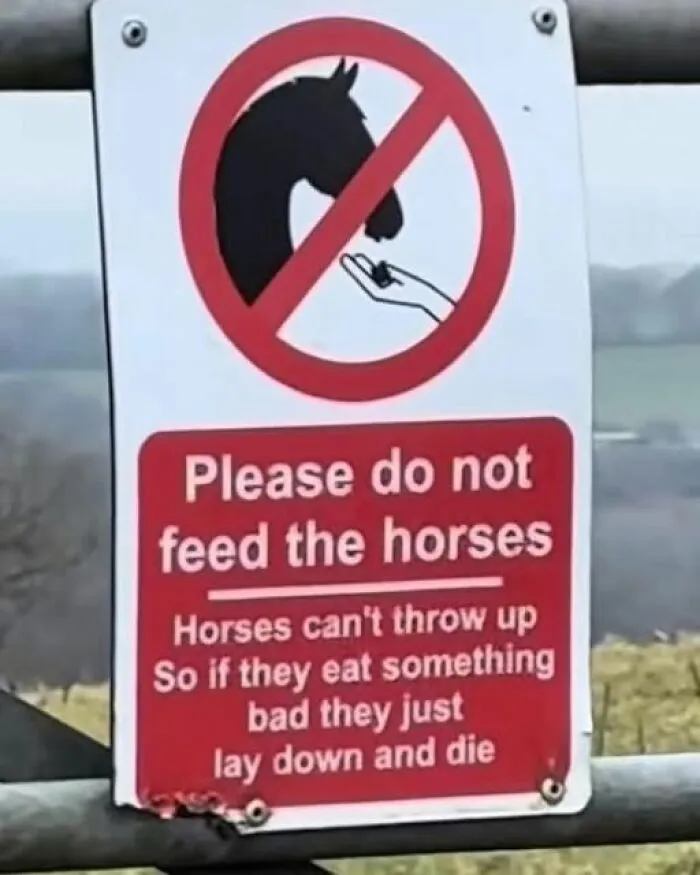 Funny sign warning not to feed horses because they can't throw up, adding chaos with unexpected animal facts.