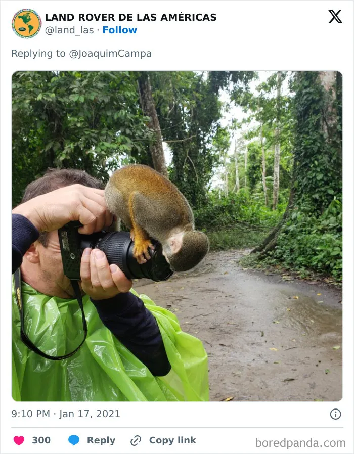 Adorable