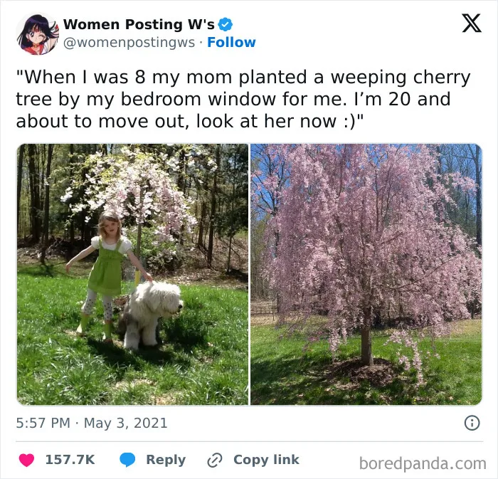 50 Funny And Uplifting Posts That Can Turn Any Frown Upside Down (New Pics)