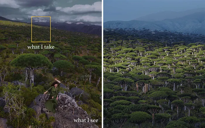 “What I See Vs. What I Take”: 16 Photos Revealing How This Photographer Captures The Perfect Shot