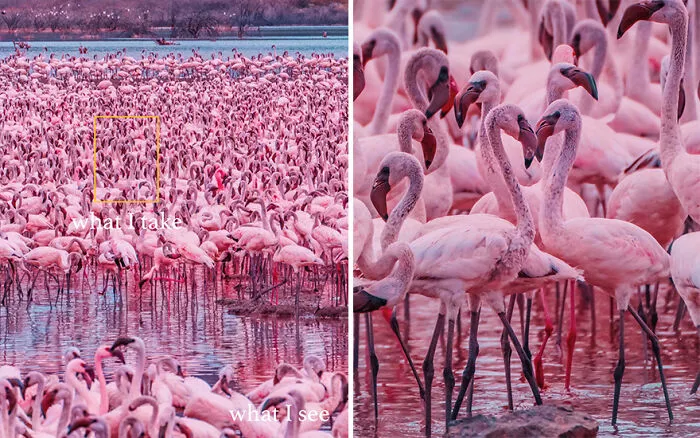 “What I See Vs. What I Take”: 16 Photos Revealing How This Photographer Captures The Perfect Shot