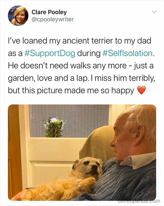 50 Unhinged Tumblr Posts That Are Just The Right Kind Of Chaotic (New Pics)