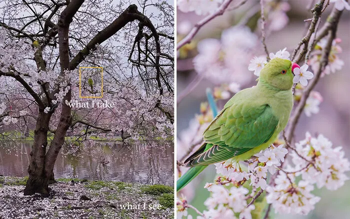 “What I See Vs. What I Take”: 16 Photos Revealing How This Photographer Captures The Perfect Shot