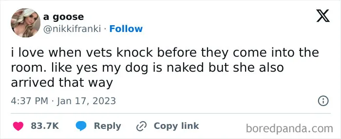 Tweet about a dog being naked when vets enter, capturing the humorous side of delightful animals in funny animal memes.
