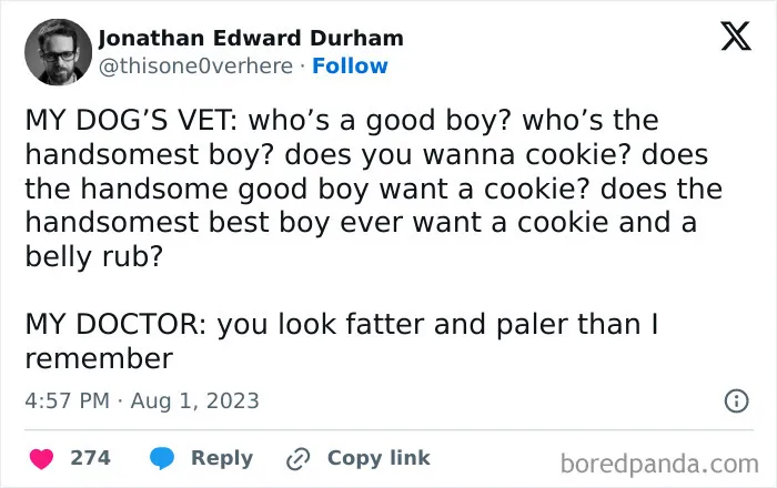 Funny animal meme featuring a dog with a vet and doctor contrasting praises and honest remarks.