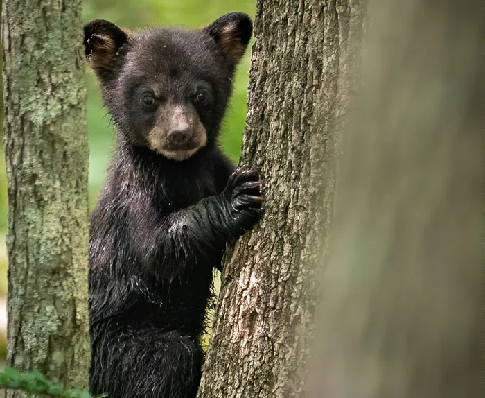 40 People Who Witnessed The Impossible, No One Believed Them, And They’ve Never Forgotten It