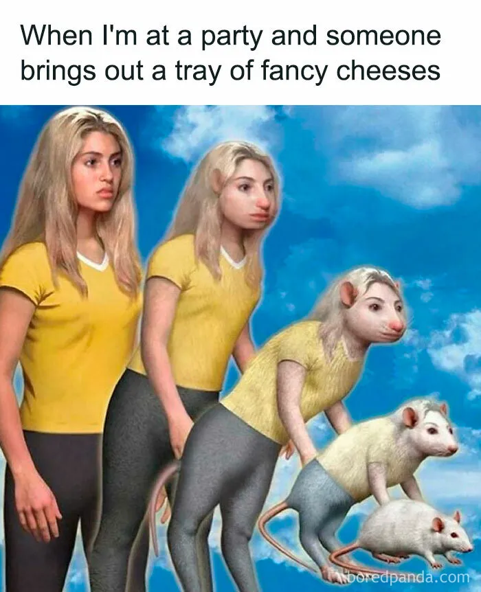50 Funny Pics For Anyone Who Can’t Decide If They’re Gen Z Or A Millennial (New Pics)