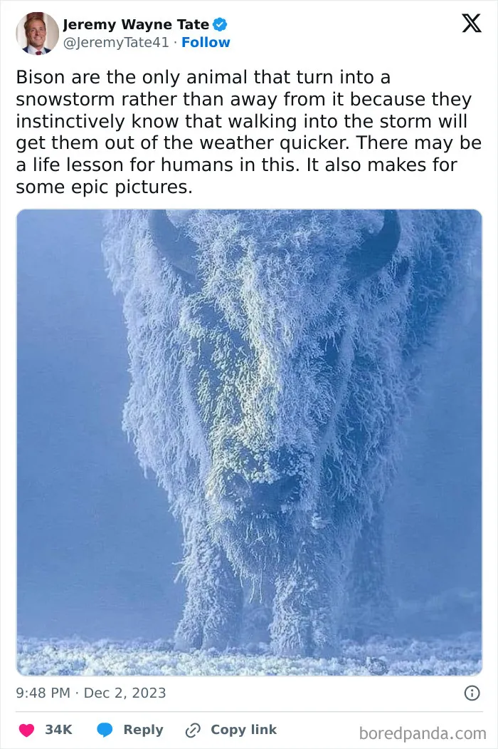 50 Interesting Pics To Make Your Day Better Or Teach You Something New
