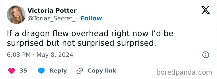 Funny mom post tweet by Victoria Potter saying a dragon flying overhead would be surprising but not fully surprising.