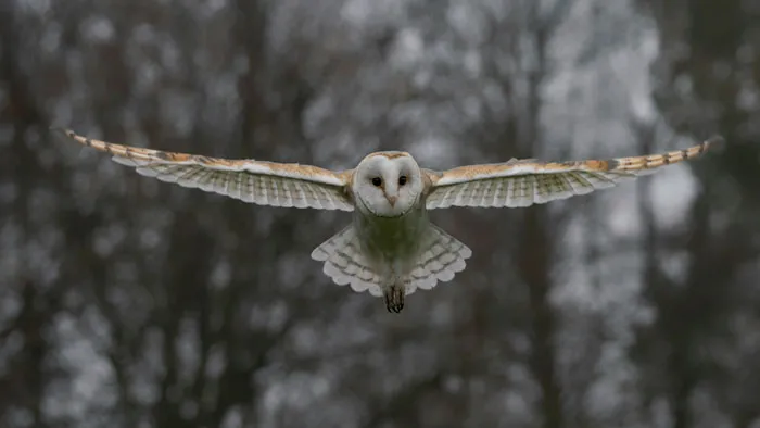 40 People Who Witnessed The Impossible, No One Believed Them, And They’ve Never Forgotten It