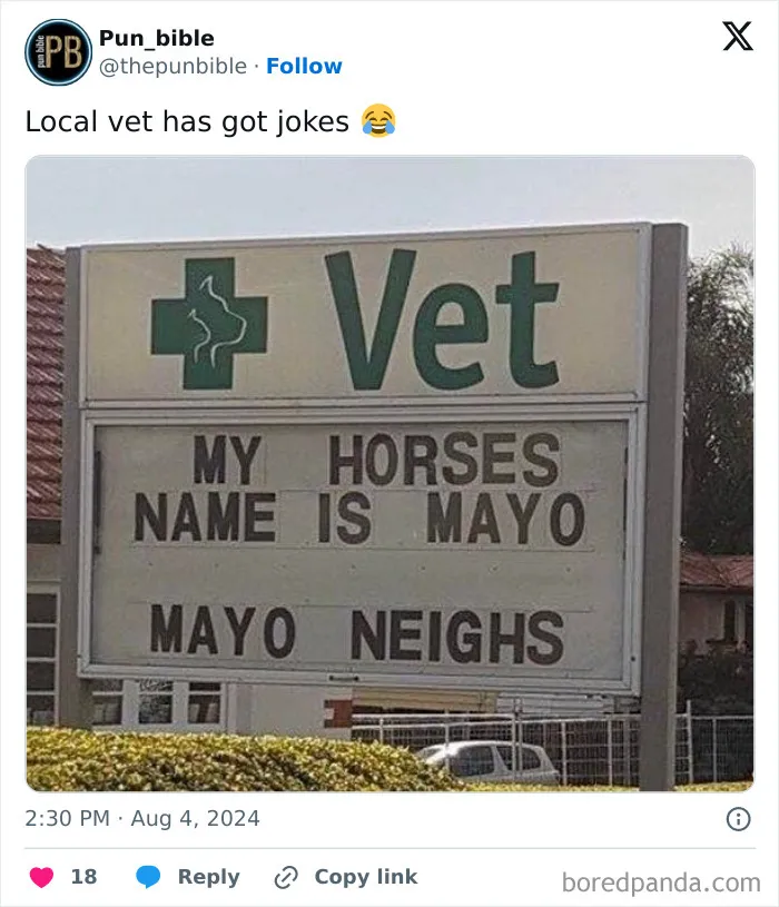 Vet sign with pun meme about horses named Mayo, illustrating hilarious wordplay humor in comedy.