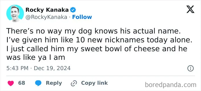 Funny animal meme tweet about a dog with many nicknames, showcasing delightful animals and their humorous behavior.