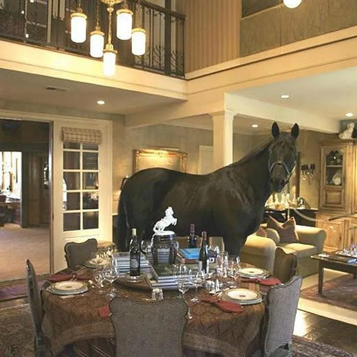 Pet Friendly, Very Pet Friendly
