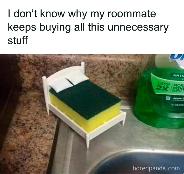50 Memes That Prove Students And Young Adults Are Living The Best And Worst Life At The Same Time (New Pics)