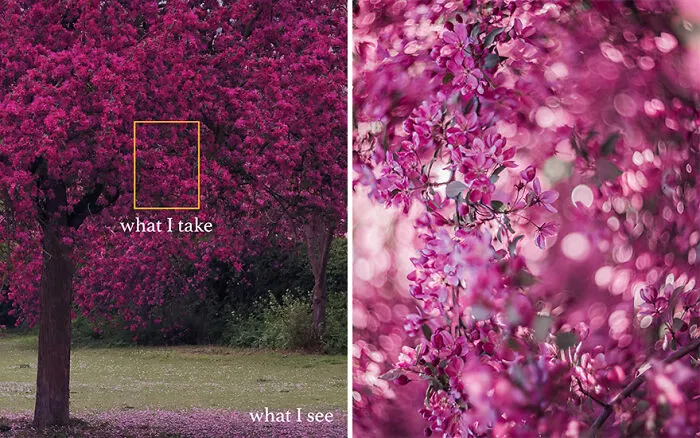 “What I See Vs. What I Take”: 16 Photos Revealing How This Photographer Captures The Perfect Shot