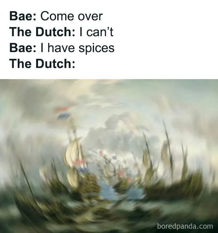 Meme referencing Dutch spice trade with blurred historic sailing ships, fitting history memes about learning the past.