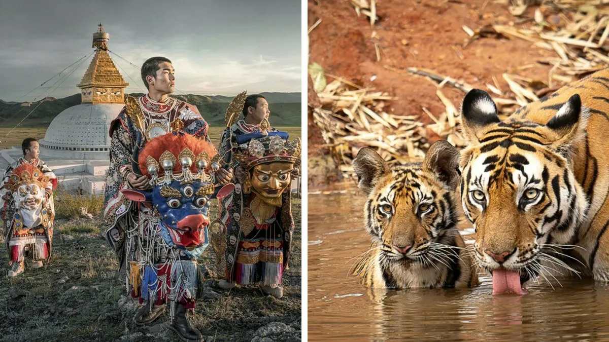 1839 Photography Awards: 25 Winning Color Shots Worth Seeing