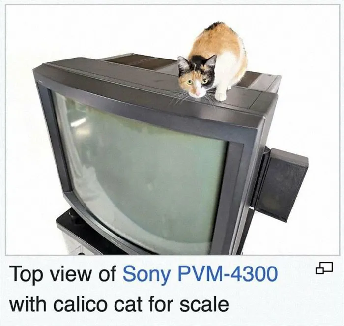 40 Hilarious Wikipedia Entries That Could Have Been Crafted By Comedians (New Pics)