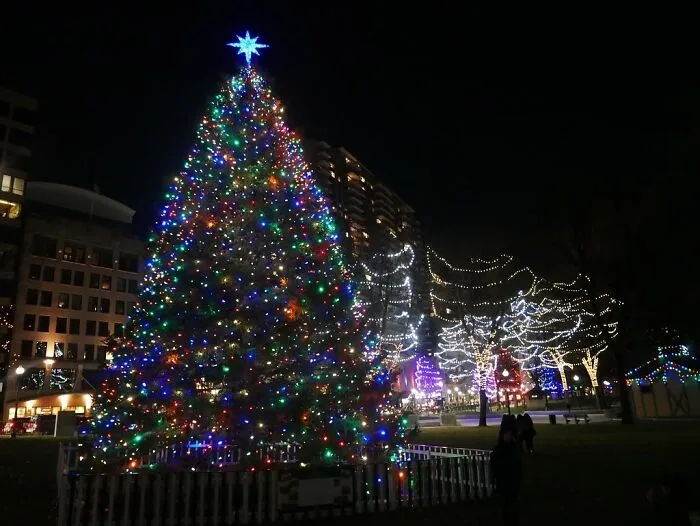 Every Year, Halifax, Nova Scotia Sends A Christmas Tree To The City Of Boston