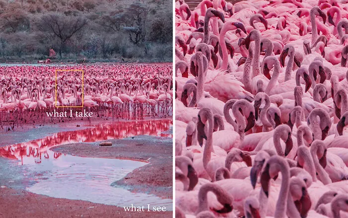 “What I See Vs. What I Take”: 16 Photos Revealing How This Photographer Captures The Perfect Shot