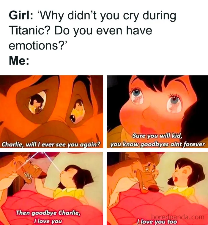 Why Does A Dog Saying I Love You So Sad?