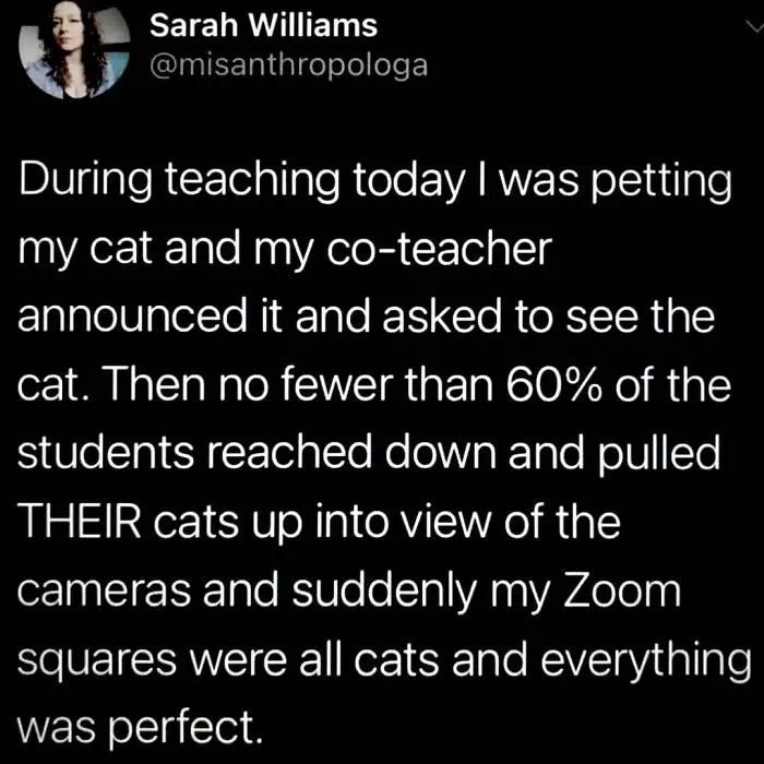 If The World Seems Like A Horrible Place Now, These 50 Positive Posts Might Be Just What You Need