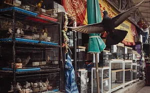 48 Candid Street Photos By Alex McClintock That Tell Stories Without Words