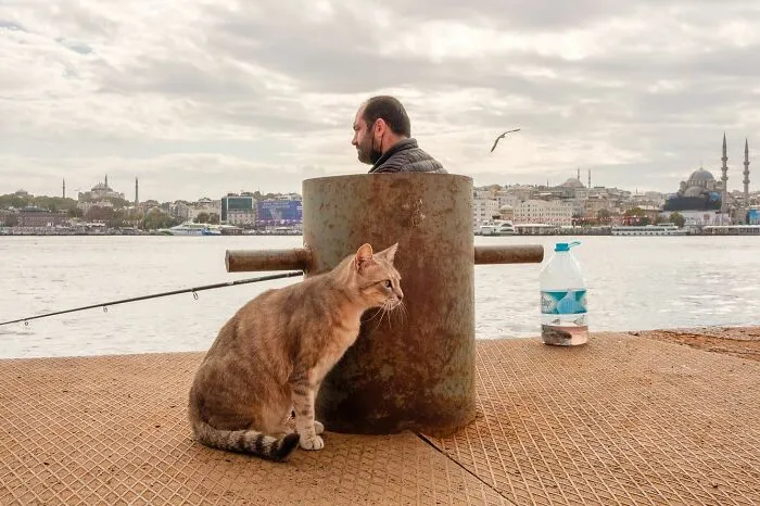 50 Times This Street Photographer Caught The World Off Guard