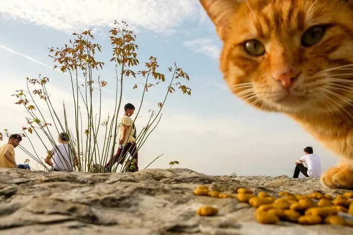 50 Times This Street Photographer Caught The World Off Guard