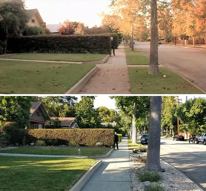 Halloween (1978)