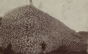 50 Terrifying Historical Photos That Are As Fascinating As They Are Scary