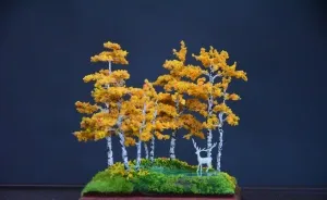 I Created A Magical Miniature World With An Enchanted Forest