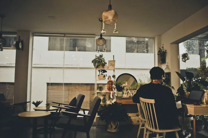 Person working on laptop in cozy indoor space filled with plants, illustrating foreigners' experiences being big in Japan.