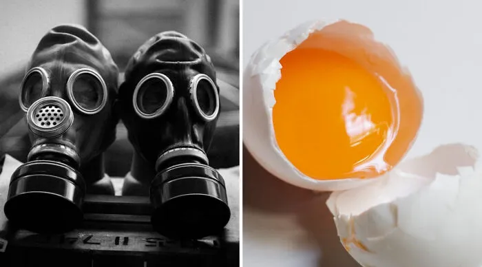 Make Your Choice