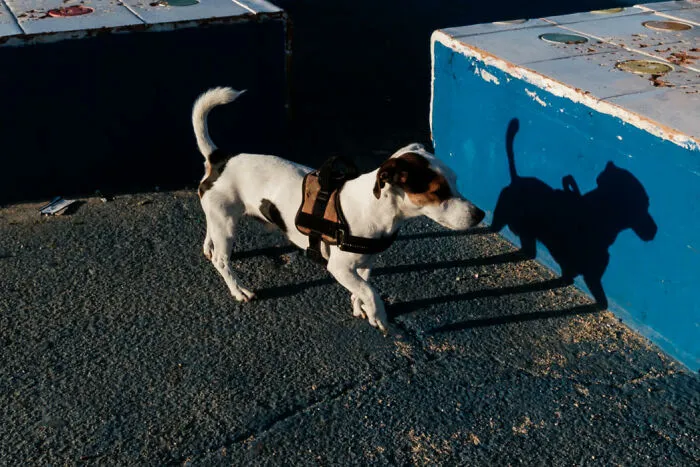 30 Candid Street Photos By Polly Rusyn That Might Make You See The World Differently