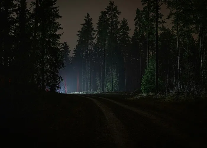 Dark forest road at night with eerie lighting, illustrating the setting for unbelievable experiences people can prove.