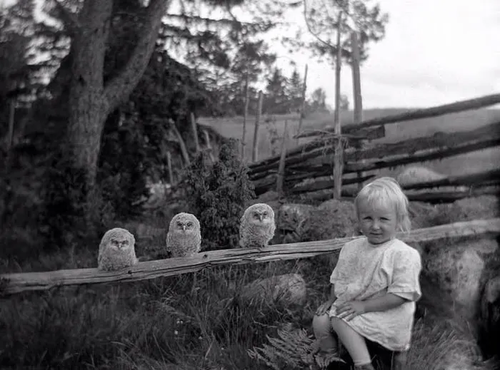 Una niña con tres búhos, 1925