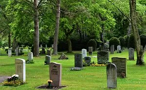 Millennials Didn’t Just Destroy These 40 Industries, They Buried ’Em And Salted The Earth