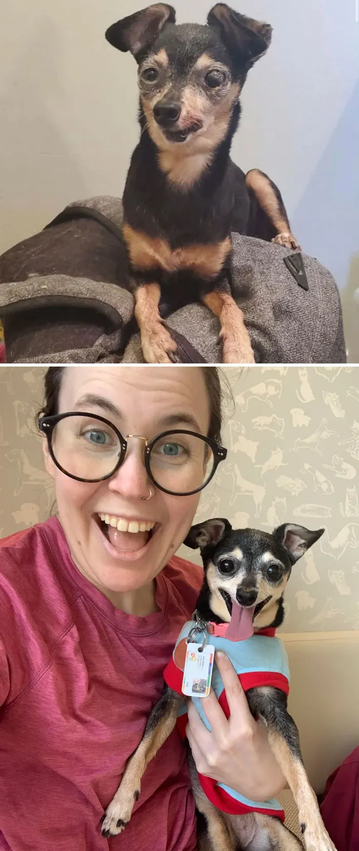 Ruth! Given Six Months To Live When I Adopted Her. We're Now At 2.5 Years Together