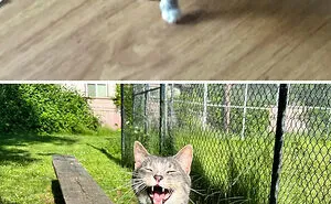 45 People Who Just Needed To Share Amazing Transformations Of People, Animals, Things And Places