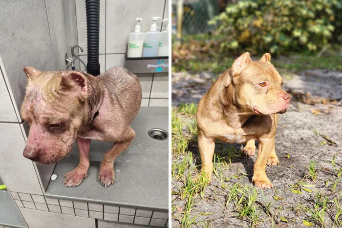 Glow Up For Potato