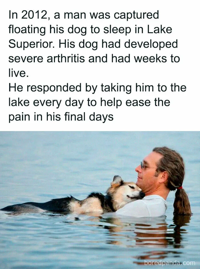 50 Adorable Animal Memes That Might Just Turn Your Day Around