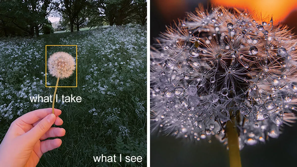 “What I See Vs. What I Take”: 16 Photos Revealing How This Photographer Captures The Perfect Shot