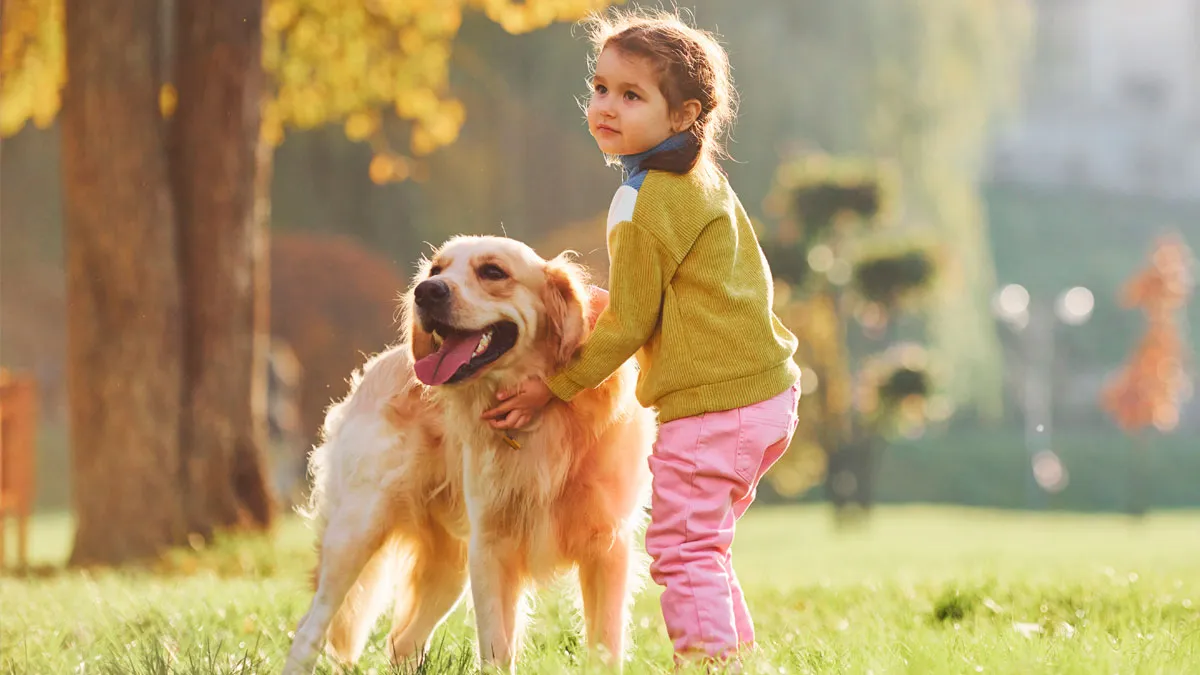 Woman Called Heartless For Refusing To Give Her Golden Retriever To A Random Family